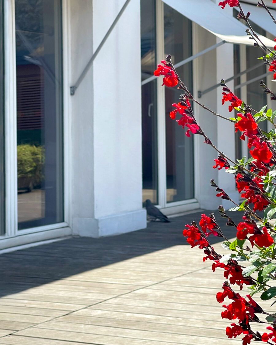 EPA terrasse fleurs