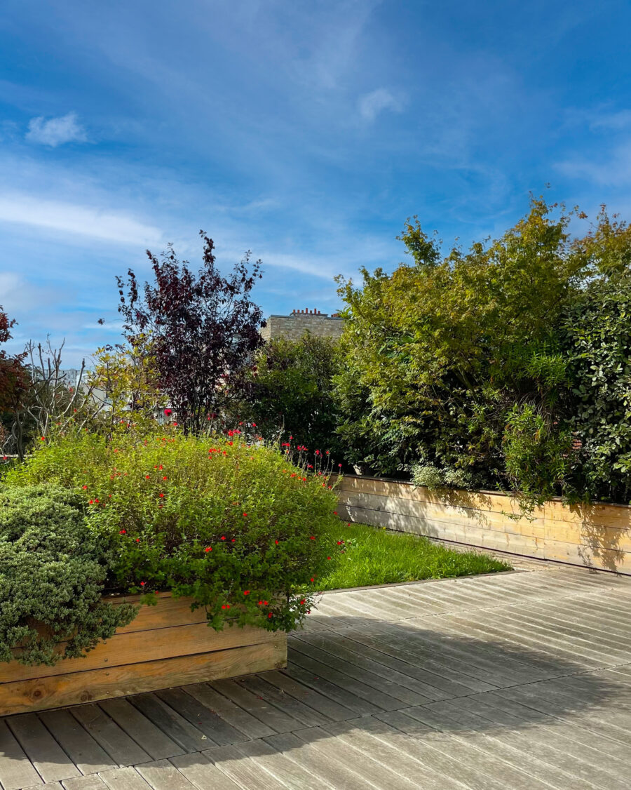 EPA terrasse plantes